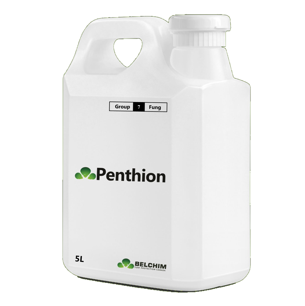 Penthion